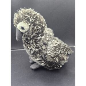 Jaag Black And Gray Bird